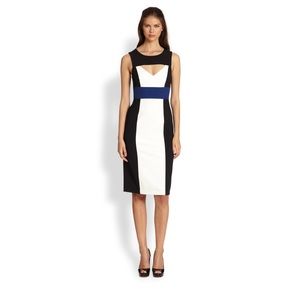 BCBG Color Block Dress